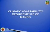CLIMATIC ADAPTABILITY/ REQUIREMENTS OF MANGO