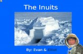 The Inuits