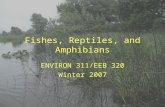 Fishes, Reptiles, and Amphibians