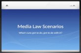 Media Law Scenarios