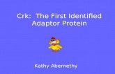 Crk:  The First Identified Adaptor Protein