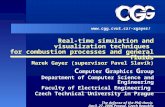 Real-time simulation and visualization techniques  for combustion processes and general fluids