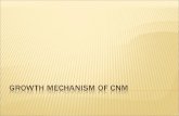 Growth Mechanism Of CNM