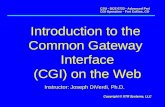 Introduction to the  Common Gateway  Interface (CGI) on the Web