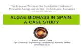 ALGAE BIOMASS IN SPAIN: A CASE STUDY