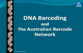 DNA Barcoding and The  Australian Barcode Network