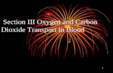 Section III Oxygen and Carbon Dioxide Transport in Blood