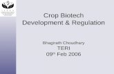 Crop Biotech Development & Regulation Bhagirath Choudhary TERI 09 th  Feb 2006
