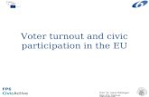 Voter turnout and civic participation in the EU