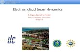 Electron cloud beam dynamics