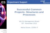 Successful Common Projects: Structures and Processes