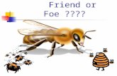 Bees ……    Friend or Foe ????