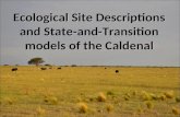 Ecological Site Descriptions and State-and-Transition models of the  Caldenal