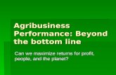 Agribusiness Performance: Beyond the bottom line