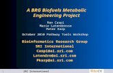 A BRG Biofuels Metabolic Engineering Project