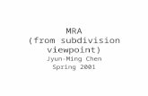MRA (from subdivision viewpoint)