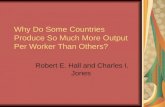 Why Do Some Countries Produce So Much More Output Per Worker Than Others?