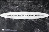 Theory Models of Hadron Collisions