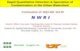 Rapid Quantitative Detection & Speciation of Contamination in the Urban Watershed