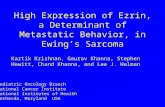 High Expression of Ezrin, a Determinant of Metastatic Behavior, in Ewing’s Sarcoma