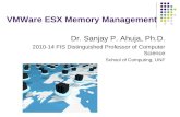 VMWare ESX Memory Management