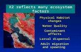 X2 reflects many ecosystem factors
