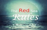 The  Red  Sea