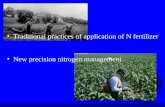 Traditional practices of application of N fertilizer   New precision nitrogen management