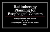 Radiotherapy Planning for Esophageal Cancers