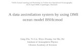 A data assimilation system by using DMI ocean model BSHcmod