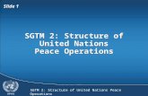 SGTM 2: Structure of United Nations Peace Operations