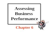 Assessing Business  Performance