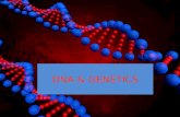 DNA & GENETICS