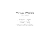 Virtual Worlds Story Boards