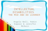 Intellectual Disabilities  the MID and DD Learner