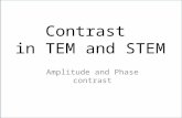 Contrast  in TEM and STEM