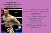 Biological Explanations of Aggression