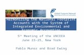 5 th  Meeting of the UNCEEA June 23-25, New York Pablo Munoz and Brad Ewing