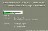 Environmental aspects of mineral processing tailings operation
