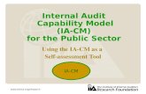 Internal Audit  Capability Model (IA-CM) for the Public Sector