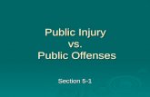 Public Injury  vs.  Public Offenses