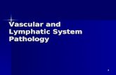 Vascular and Lymphatic System Pathology