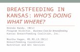 Breastfeeding in Kansas:  Who’s doing What Where?
