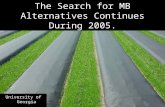 The Search for MB Alternatives Continues During 2005.