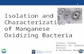 Isolation and Characterization of Manganese Oxidizing Bacteria