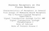 Hormone Receptors on the  Plasma Membrane