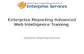 Enterprise Reporting Advanced Web Intelligence Training
