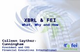 XBRL & FEI What, Why and How