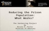 Reducing the Prison Population:  What Works? The Sentencing Project by Nicole D. Porter