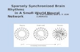 Sparsely Synchronized Brain Rhythms       in A Small-World Neural Network